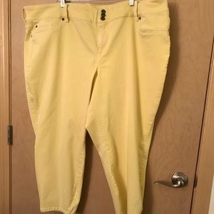 Torrid Pastel Yellow Jeans